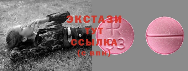 первитин Богданович