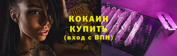 сатива Белоозёрский