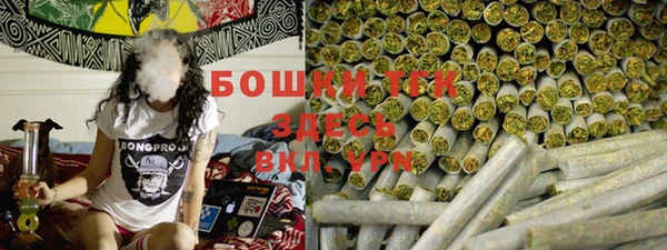 сатива Белоозёрский