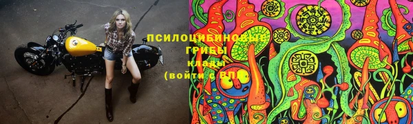 сатива Белоозёрский