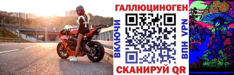 блэк спрут зеркало  Богородск  это официальный сайт  Псилоцибиновые грибы мицелий 